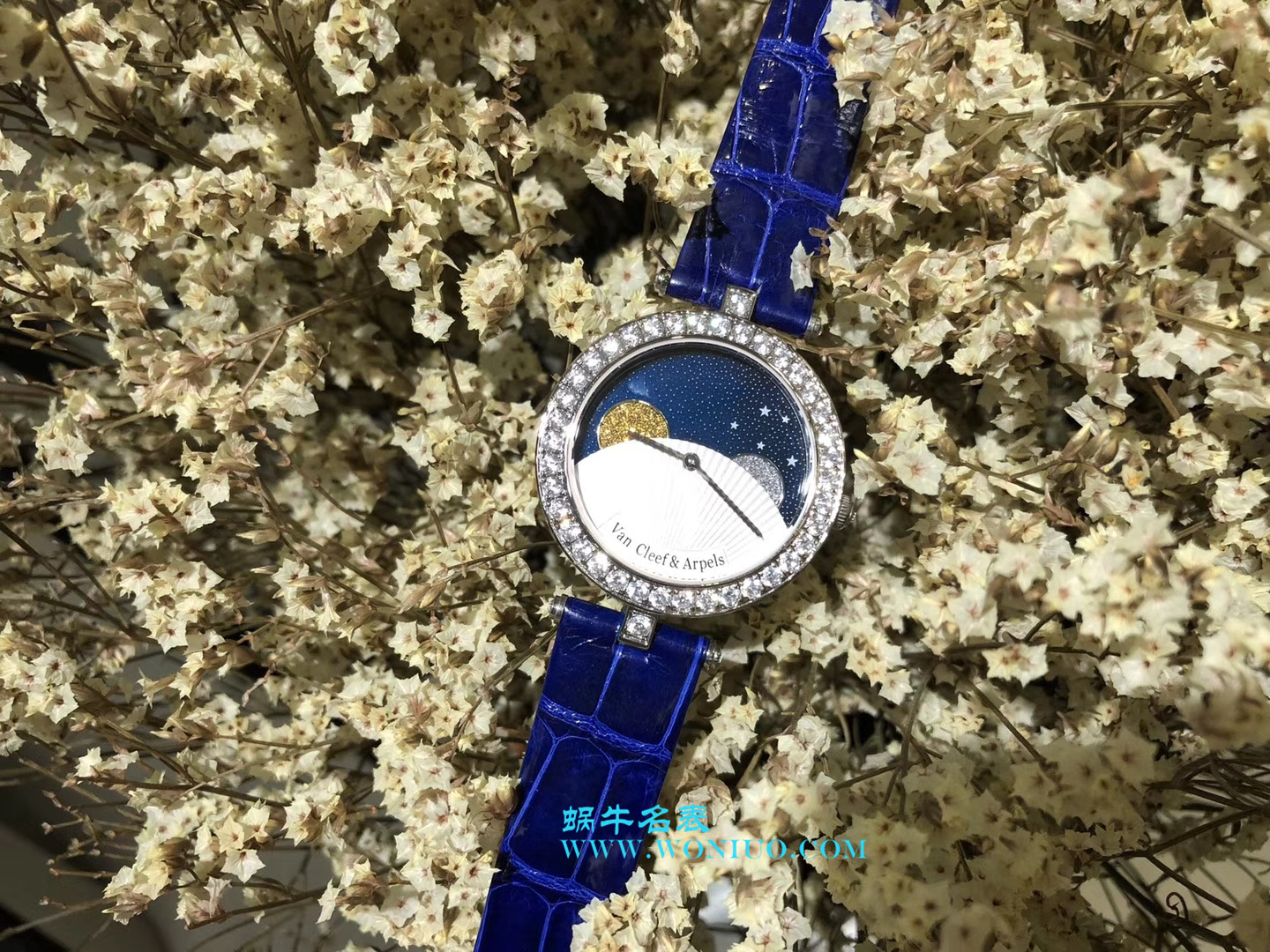 VCA梵克雅宝诗意复杂功能 wrist watch 系列VCARN25800女士 wrist watch  / VCA03