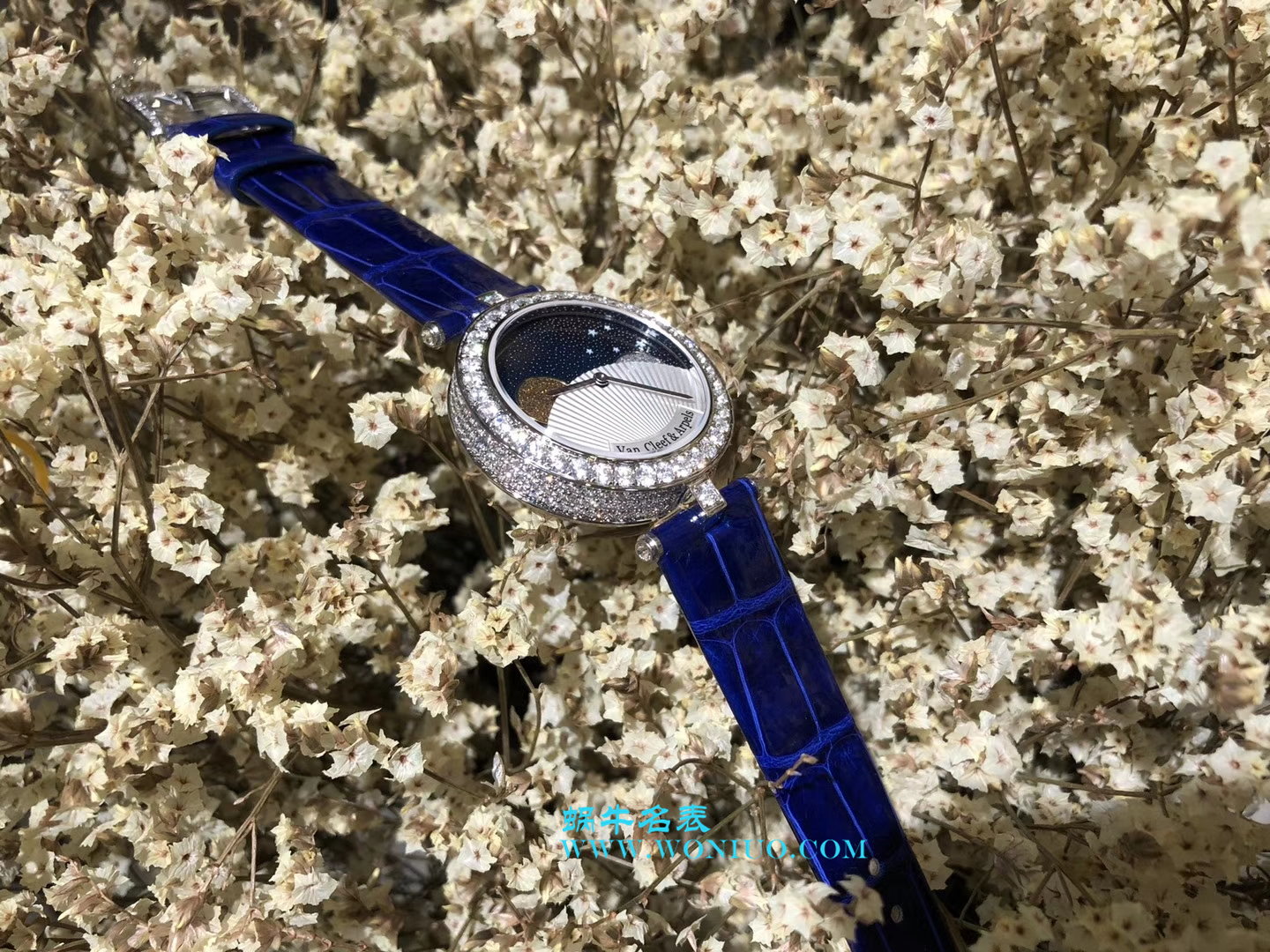 VCA梵克雅宝诗意复杂功能 wrist watch 系列VCARN25800女士 wrist watch  / VCA03