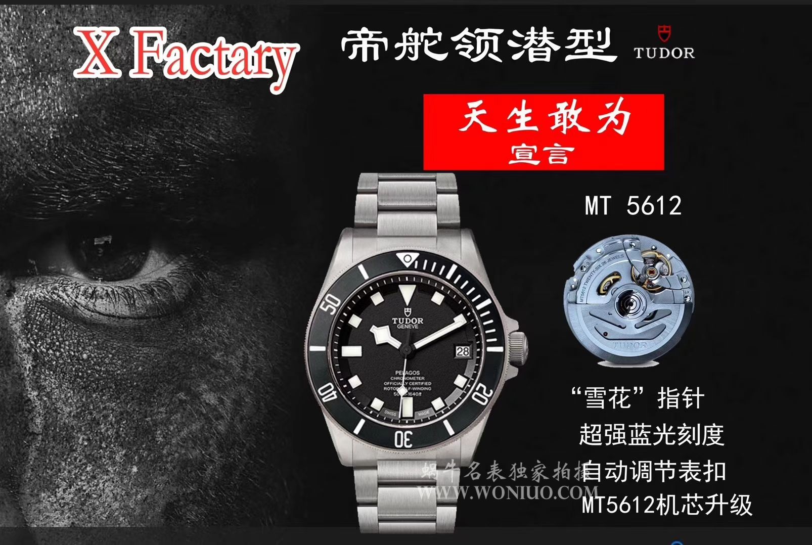  Tudor PELAGOS系列25500TN 钛金属 watchband   wrist watch 【XF一比一复刻高仿黑钛土豆黑色战斧V3版本】 / DT007AMM