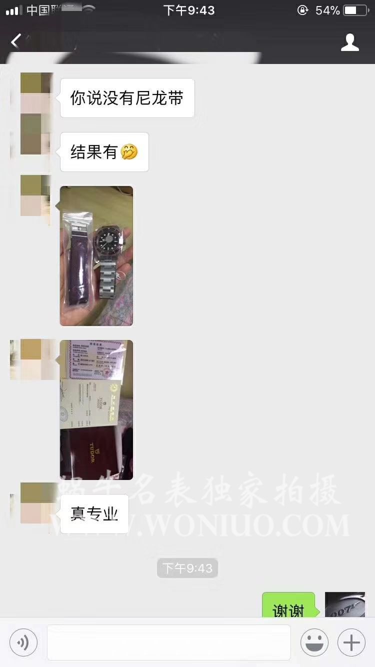  Video analysis TUDOR Tudor 碧湾系列79220R 不锈钢 watchband   wrist watch (小红花)一比一高仿手表【ZF Tudor 小红花】 / DT009MM