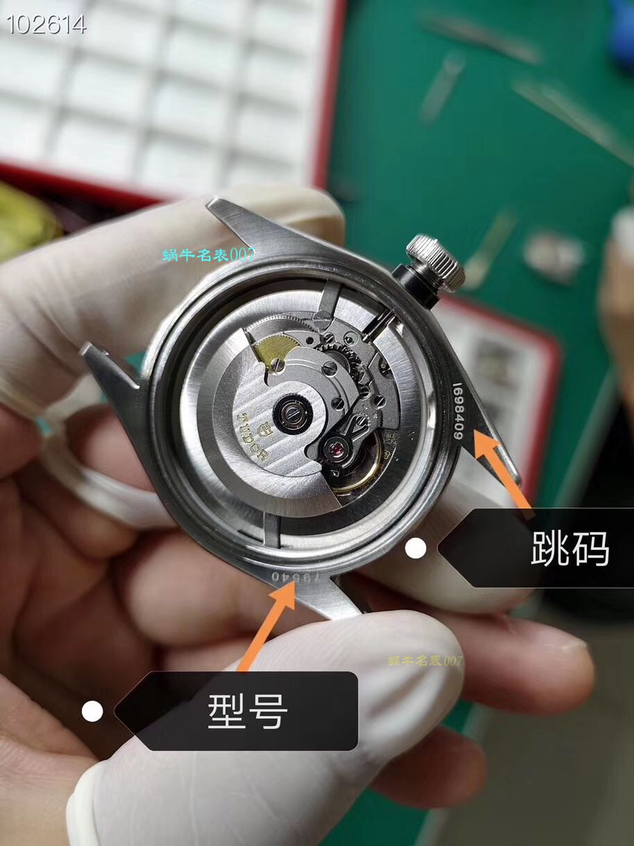 【渠道原单】 Tudor 碧湾系列M79540-0004 wrist watch  / DT037