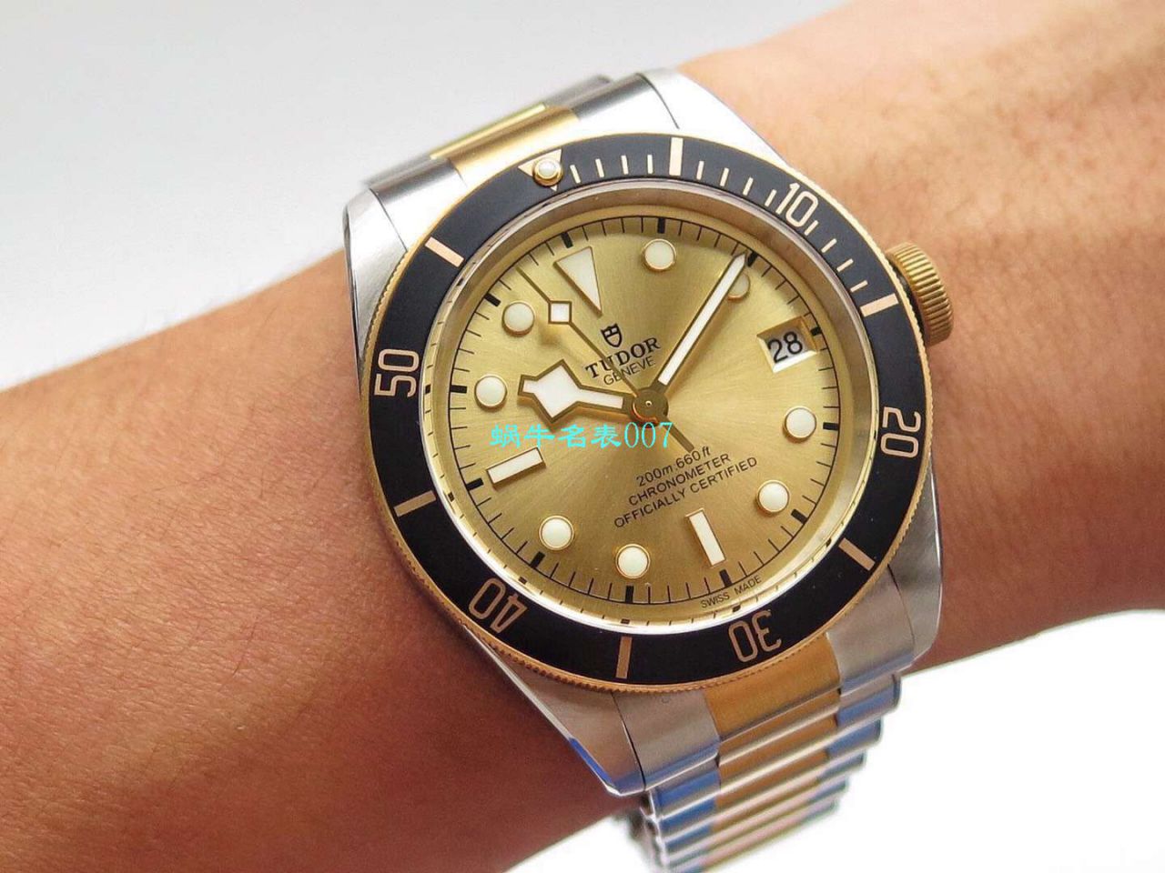 【ZF Factory  Tudor 复刻高仿手表】 Tudor 碧湾系列M79733N-0004 wrist watch  / DT039