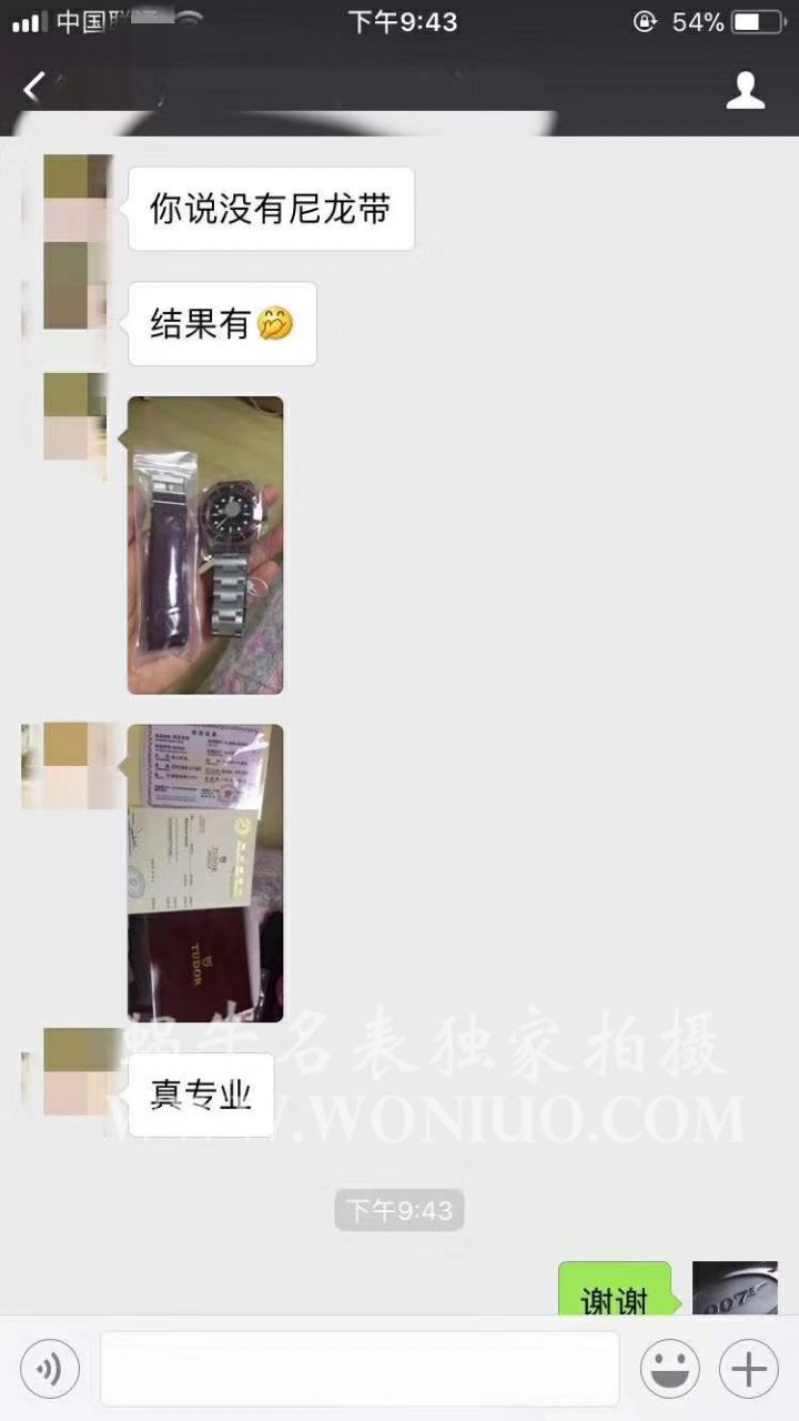 ZF Factory 超A高仿小红花【 Video analysis 】 Tudor 碧湾系列79220R小红花不锈钢 watchband   wrist watch  / DT009E