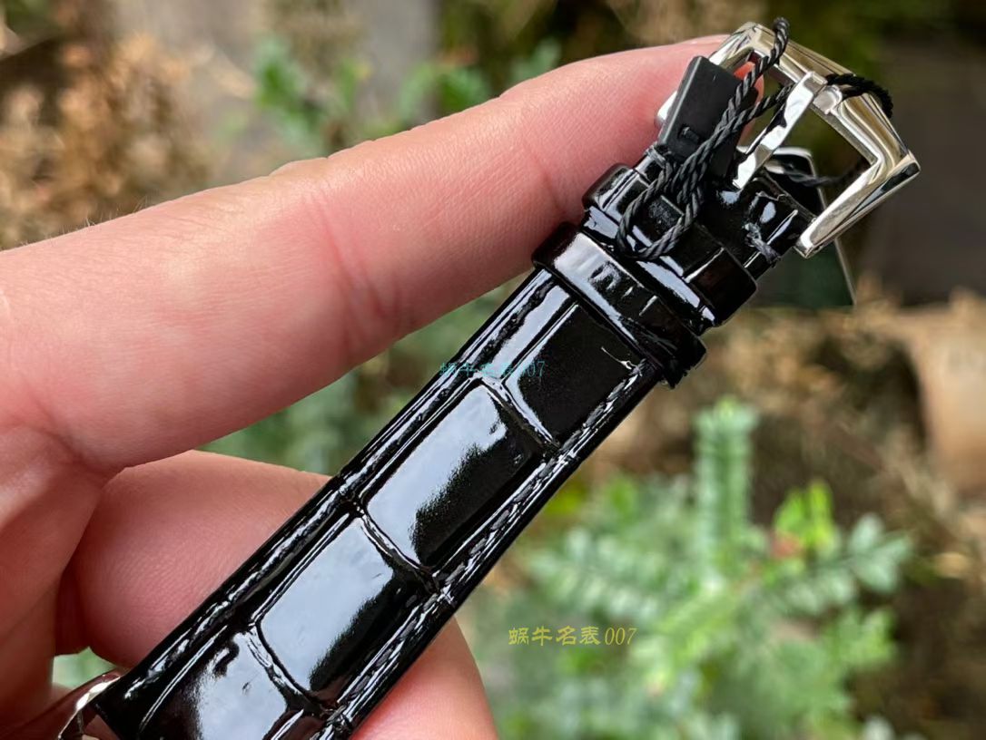 FL珐琅 Factory  PATEK PHILIPPE 5077P微绘珐琅系列复刻高仿 wrist watch 「巴黎圣母院的石制怪兽」 / BD368
